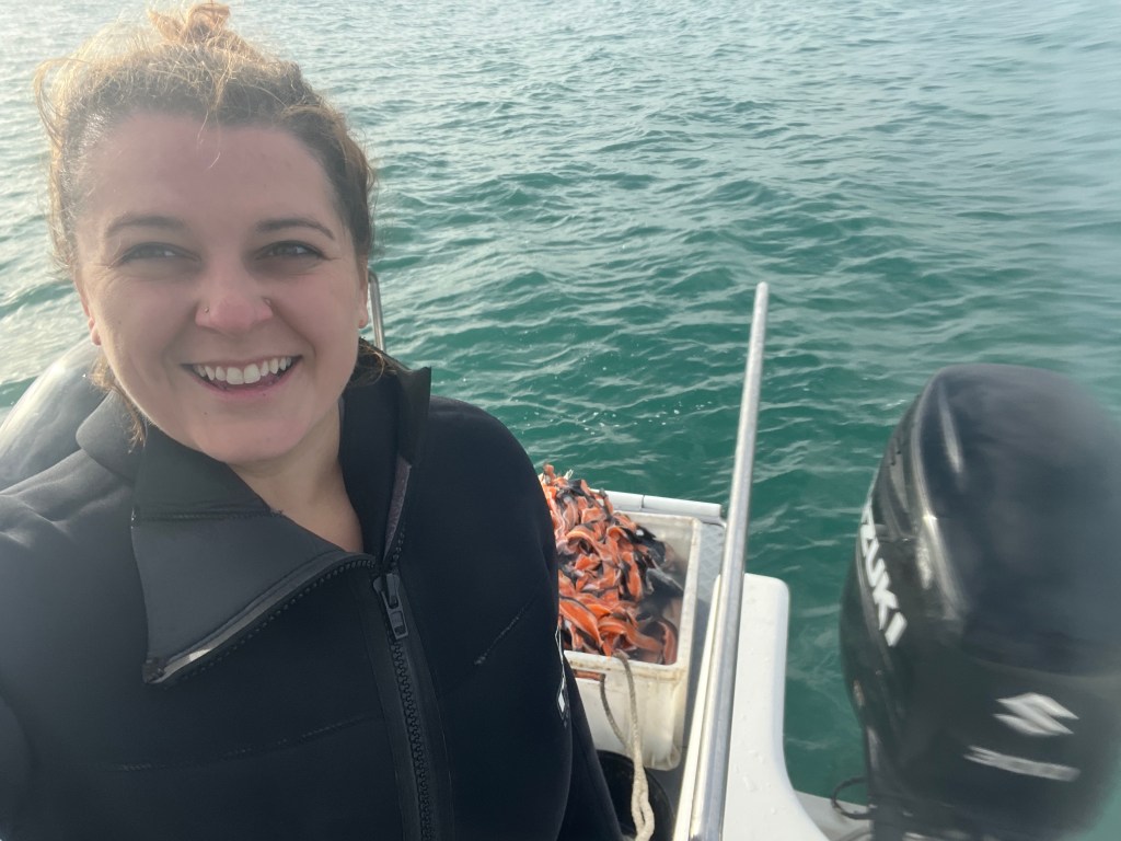 Shark Cage Diving, Cape Town