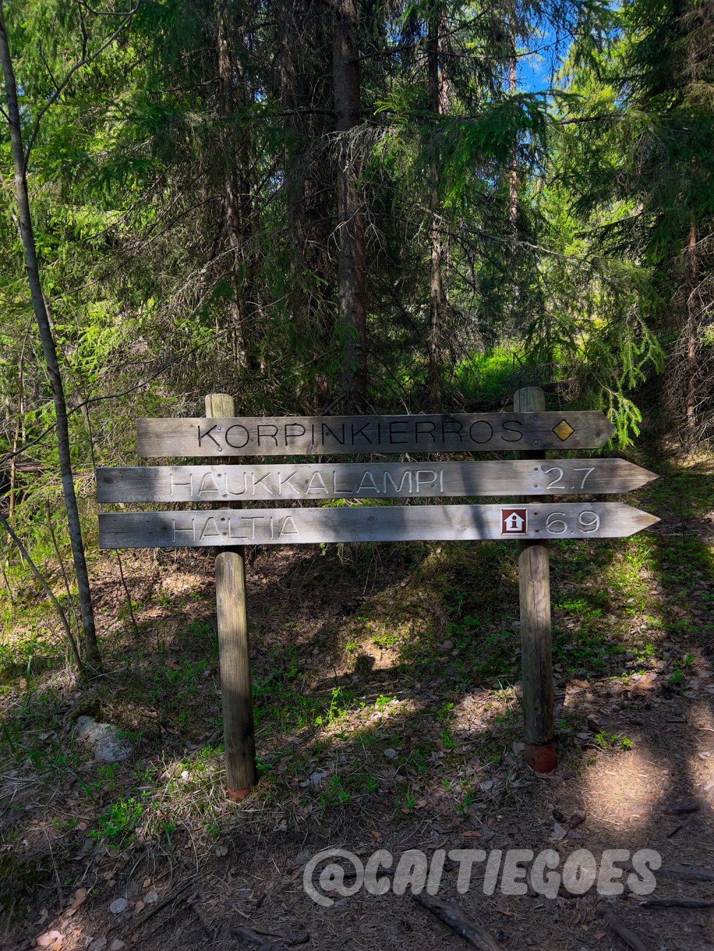 A Walk in Nuuksio National Park in Finland